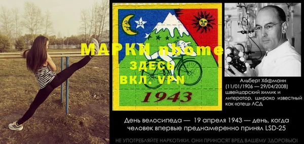гашик Майский