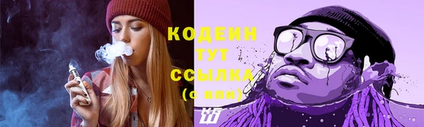 гашик Майский