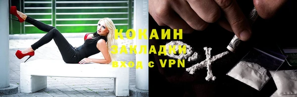 гашик Майский