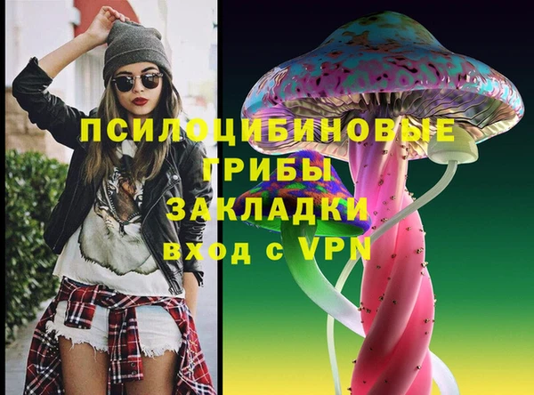 гашик Майский