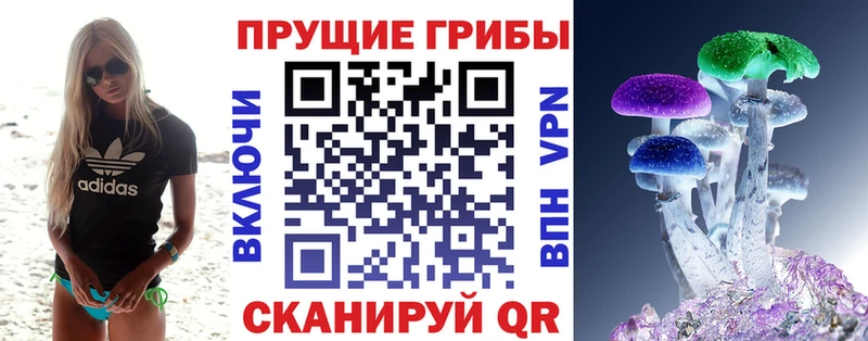 Галлюциногенные грибы ЛСД  купить закладку  Улан-Удэ 
