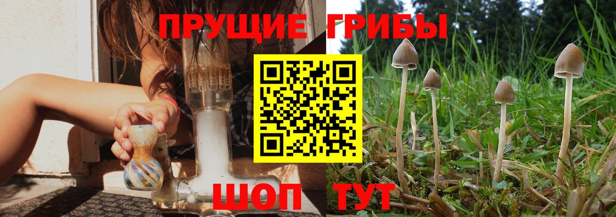 Улан-Удэ  Псилоцибиновые грибы MAGIC MUSHROOMS  Вход с VPN 